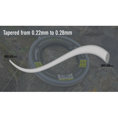 Modelo Matrix - Horizon X Tapared Leaders