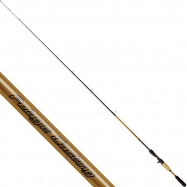 Caña Quantum - G-Force Pelagic Casting - 1,80mt - 28-70gr