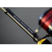 12_caña_quantum_energy_extreme_jigging_spin_rod.jpg