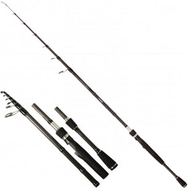 Modello Canna Quantum - 4 Street Travel King